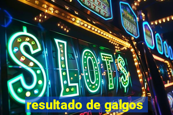 resultado de galgos